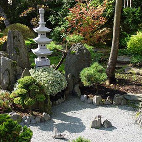 Setos redondeados con arboles de ramas modificadas y cerezos japoneses.