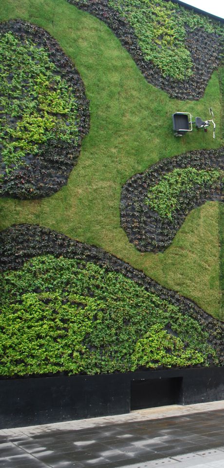 Muros verdes de fácil mantenimiento para mejorar los espacios.
