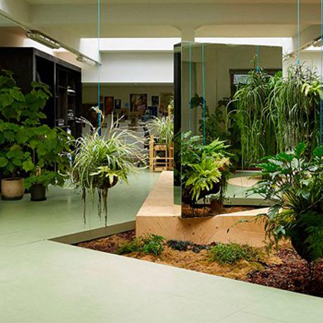 Plantas en macetas o maceteros, para sombra o resolana.